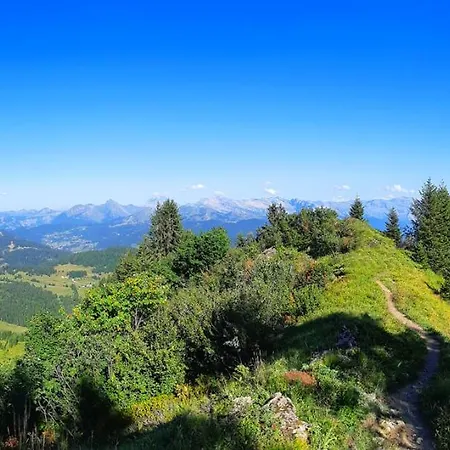 Le Taconet Ξενοδοχείο Le Praz de Lys