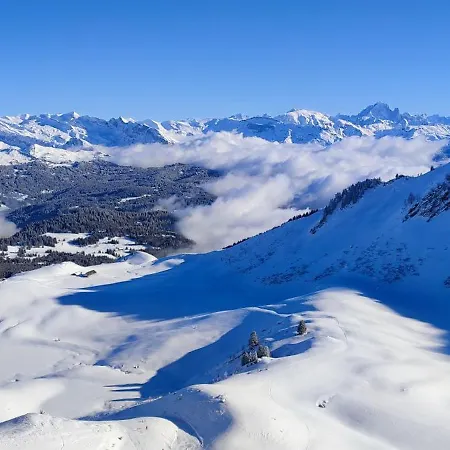 Le Taconet 2* Le Praz de Lys