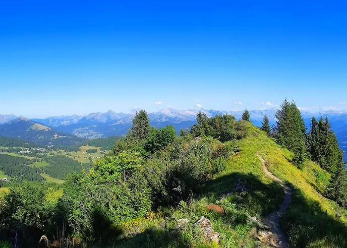 Le Taconet Hotel Le Praz de Lys